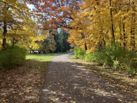 Oak Leaf Trail in Greenfield Park