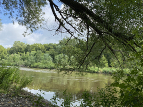 Milwaukee River Greenway - West Bank a Riverside Stroll