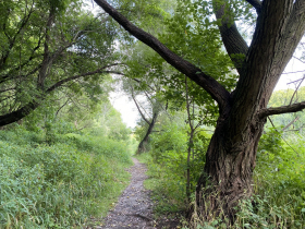 Milwaukee River Greenway - West Bank a Riverside Stroll