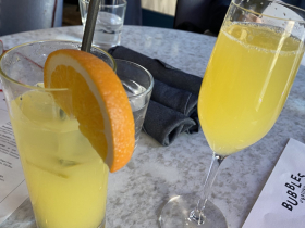 Morning Mule and Orange Mimosa