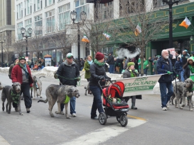 Irish Wolfhounds of Wisconsin