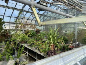 The greenhouse on the roof of the Milwaukee Public Museum
