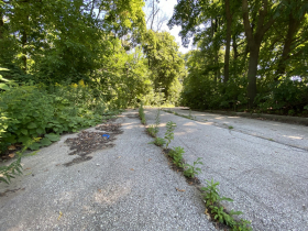 Ravine Road is deeply cracked and gouged in many places and weeds grow through the surface. Photo by Graham Kilmer, Aug. 2023.