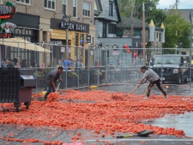 Aftermath of the Tomato Romp 2019