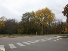 The west end of Center Street at the Menomnee River Parkway-center-street-at-the-menomonee-river-parkway