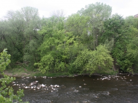 Trees on the bank of the Milwaukee River where the Village of Humboldt was located