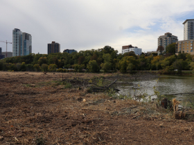 Tree clearing along Veterans Park Lagoon