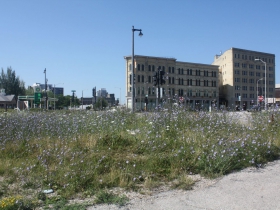 Weeds along Plankinton looking south toward West St. Paul Ave.