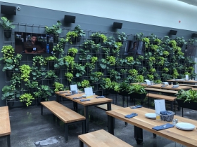 Living Wall at Glass + Griddle