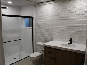 Lush House Basement Bathroom