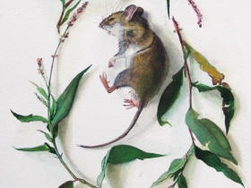 Katie Musolff, Little Mouse, Big Impact, Watercolor on Paper,13.5x9