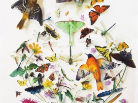 Katie Musolff, Swirling, Soaring, Flipping, Flying, Twirling, Unfurling, Living, Dying,  Watercolor on Paper, 30x23