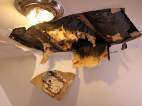 Highgrove Holdings Property