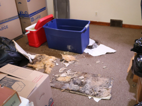 Highgrove Holdings Property