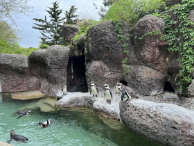 Milwaukee County Zoo Penguin Exhibit