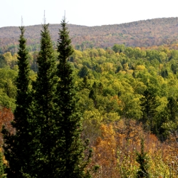 The Fight Against Wisconsin’s Iron Mine