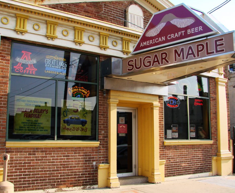 Sugar Maple. Photo taken May 29th, 2013 by Nastassia Putz.