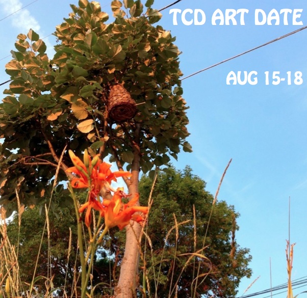 TCD Art Date: MAM goes extra-American