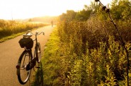 The spiders pulled out all the stops to decorate the prairie along the Hank Aaron State Trail for Halloween this year.