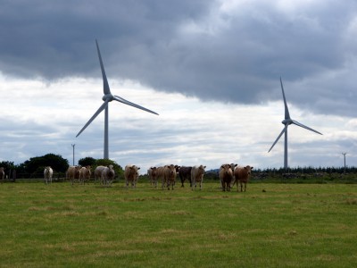 Op-Ed: Wind Power Can Reduce State’s Energy Costs