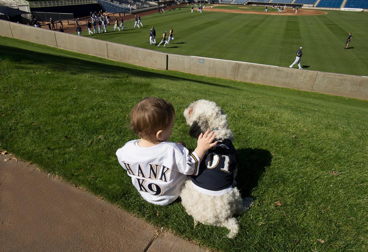 Hank the Brewers dog to make Miller Park debut Tuesday morning