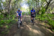 Fleck and Tom ride through tunnels of trees line much of the 100 miles of trails that make up a third of our trip.