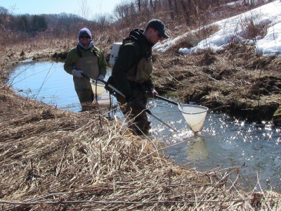 DNR May Scrap Science Bureau