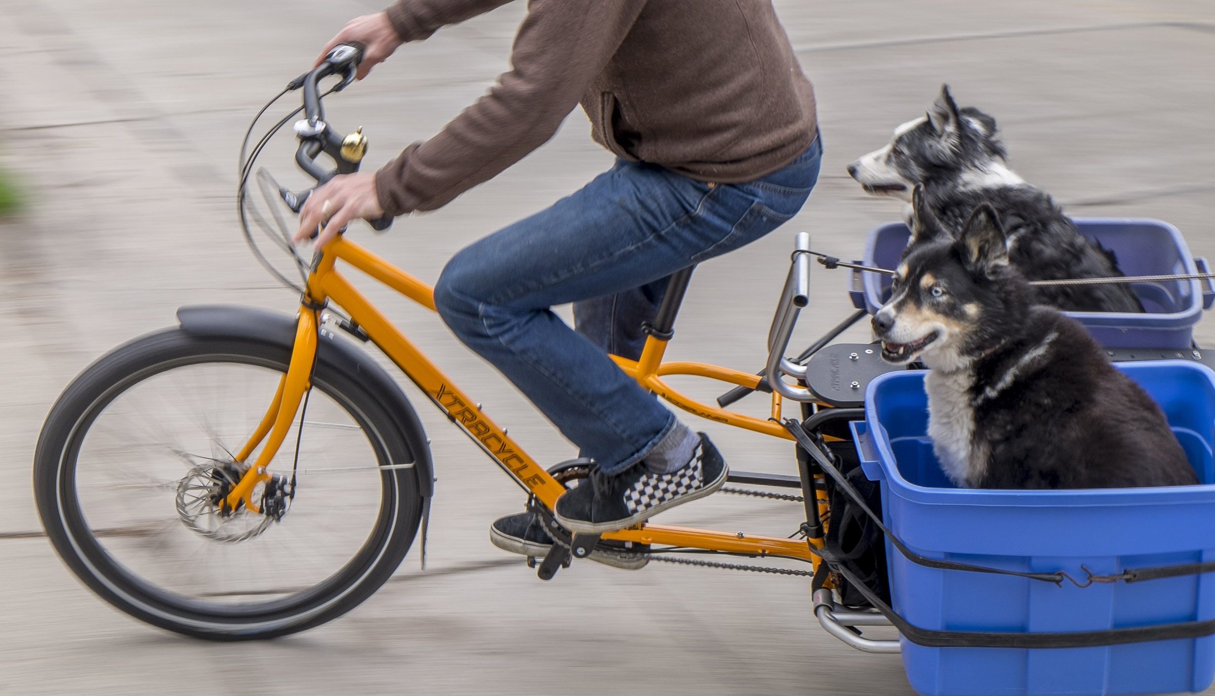 xtracycle panniers