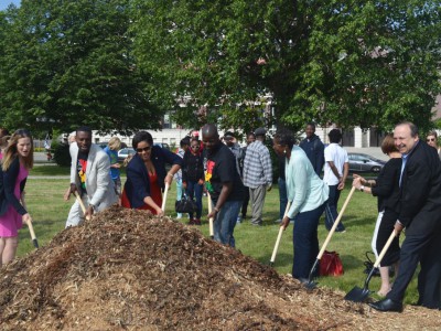 The Transformation of Johnsons Park