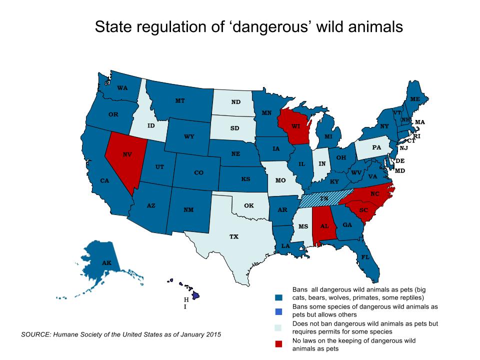 Why Wisconsin s A Magnet For Wild Animals Urban Milwaukee