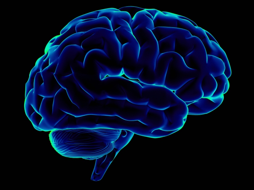 7 Ways to Fight the Brain Drain