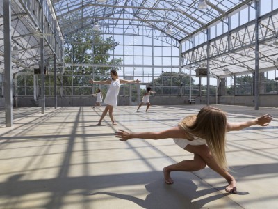 A Wild Space Under Glass at Mitchell Park