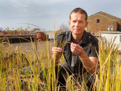 Marquette biological sciences professor receives USDA funding to increase cold tolerance in rice for an earlier planting season
