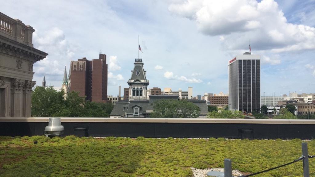 The Central Library features a green roof. Photo by Helen Koth.