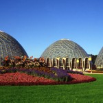 Entertainment: Barrio Train at Mitchell Park Domes