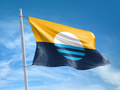 City Hall: Will City Adopt a New Flag?