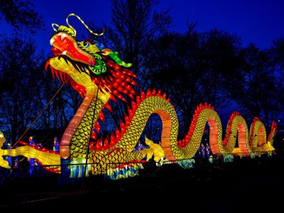 Inaugural Chinese Lantern Festival Comes to Boerner Botanical Gardens in October