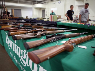 Legislature Resists Background Checks for Guns