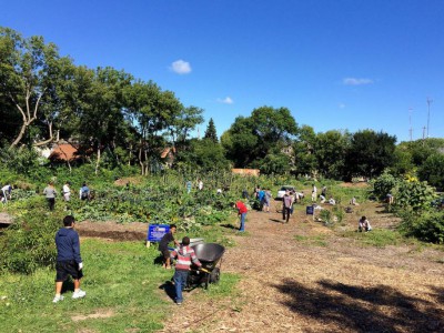 Green Luminaries: Victory Garden Initiative Values Rainwater