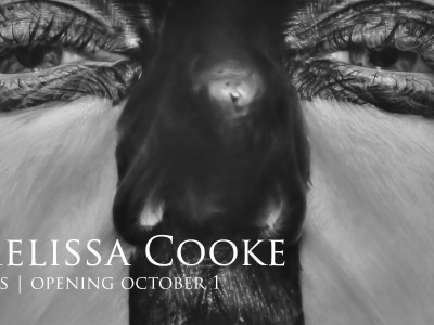 Melissa Cooke’s Large-Scale Photorealist Graphite Drawings on View  at the Museum of Wisconsin Art