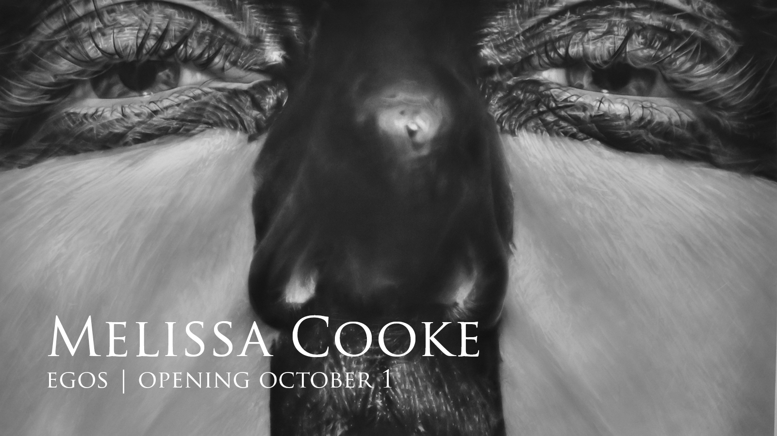Melissa Cooke’s Large-Scale Photorealist Graphite Drawings on View  at the Museum of Wisconsin Art