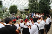 The Latino Arts Strings Program performing at the Domes Grand Reopening, December 1, 2016. Photo courtesy of Milwaukee County Parks.