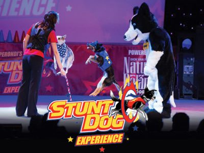 The High Energy Chris Perdoni’s Stunt Dog Experience Comes to the Marcus Center for a Limited Engagement!