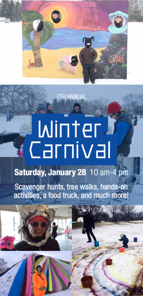7th Annual Winter Carnival at the Lynden Sculpture Garden, January 28, 2017, 10 am-4 pm
