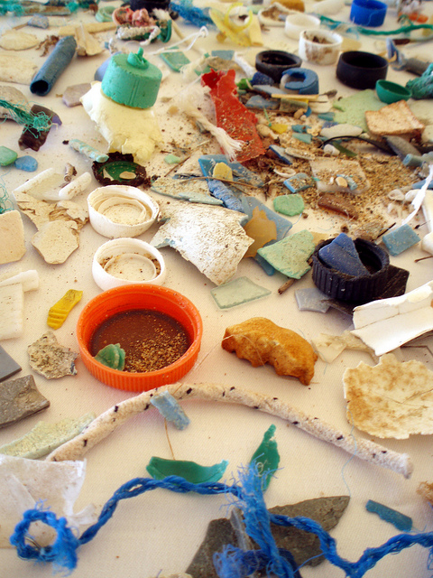 Plastics pollution. Photo from the NOAA Marine Debris Program.