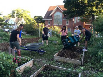 The Rise of Victory Gardens