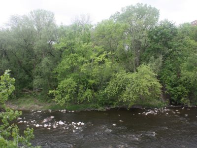 Milwaukee Riverkeeper & MMSD Launch Adopt-A-River Program on Earth Day