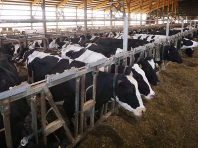 Campaign Cash: DNR Decision Pleases Big Dairy