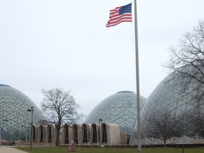 Will Cheaper Price Save Domes?