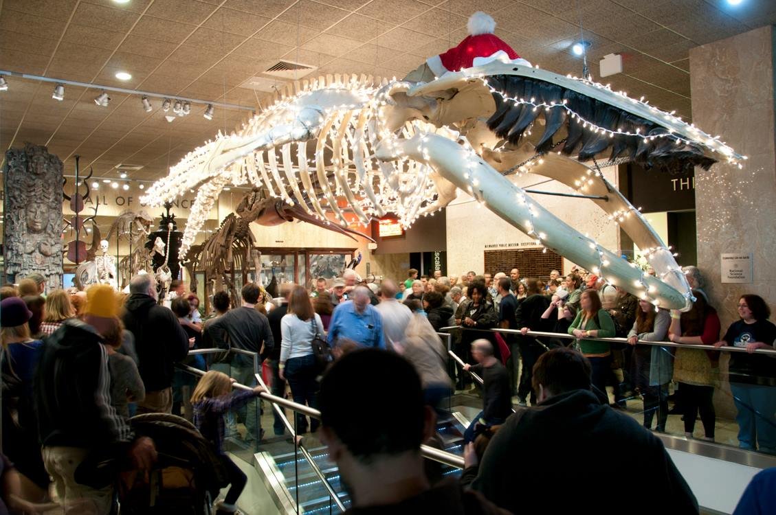 The Christmas Whale in the Milwaukee Public Museum lobby.